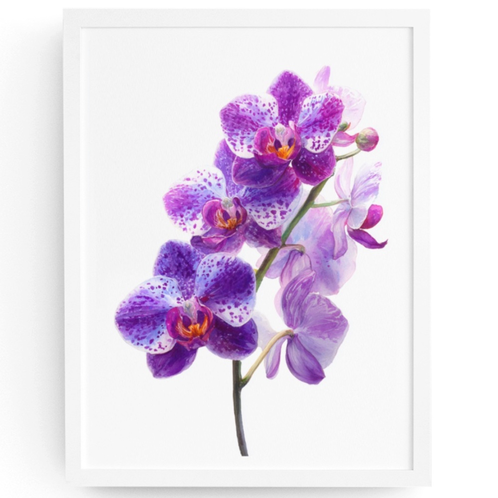 Watercolor Purple Orchids Wall Art Print Unframed - Elegant Floral Serenity - Picture 1 of 6